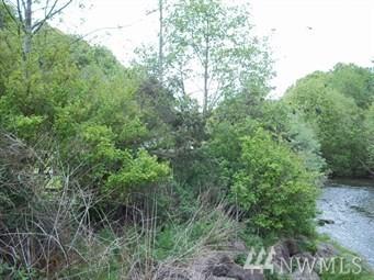 282 Bingaman Pond - Photo 1