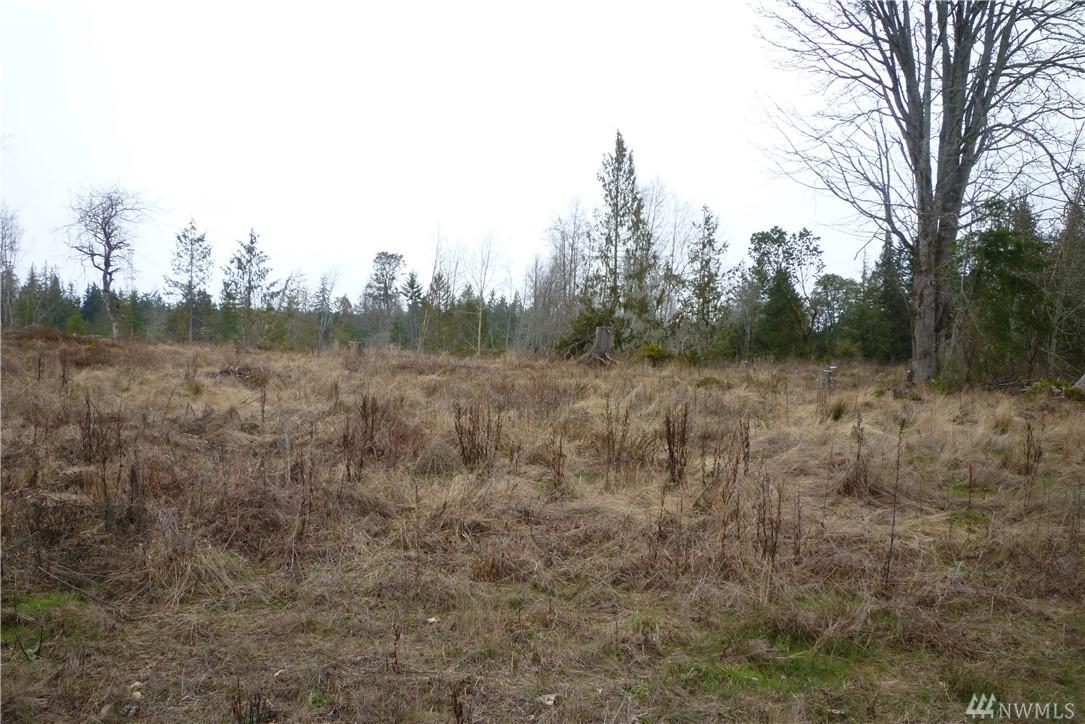 9999 Lower Elwha Rd - Photo 1