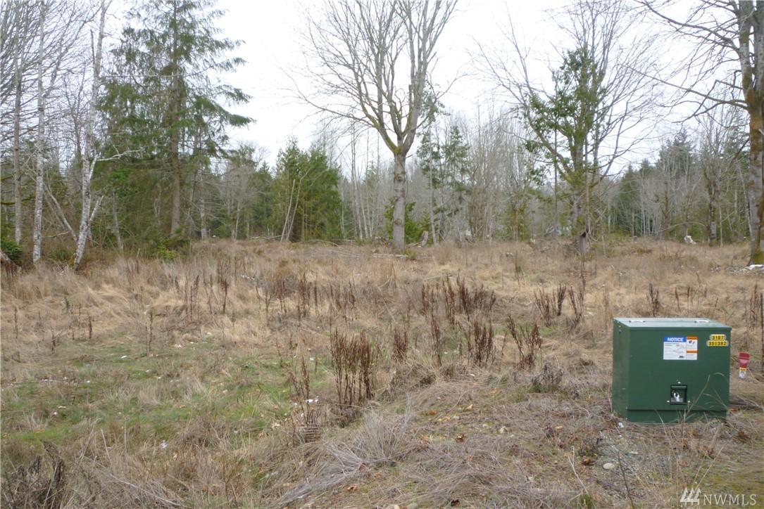 9999 Lower Elwha Rd - Photo 1