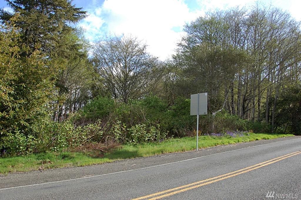 7-Lot Copalis Beach Rd - Photo 1