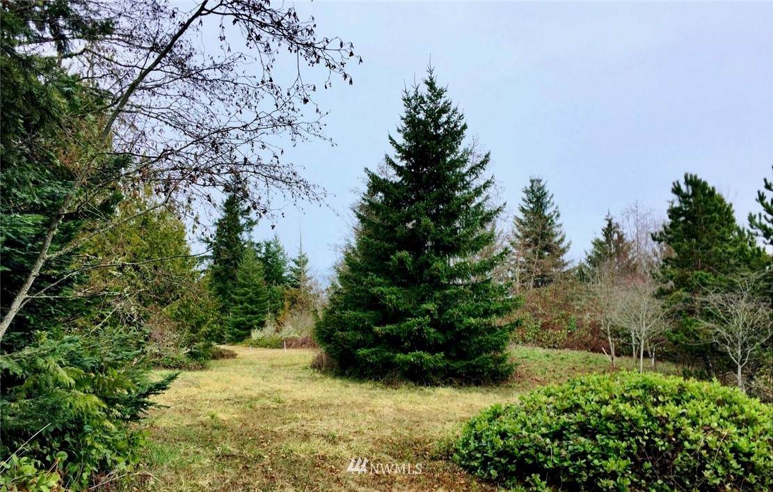 9999 Elk Pass Road - Photo 1