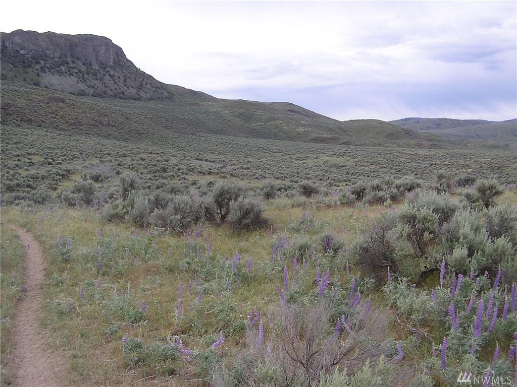 1111-TBD Highway 97 N - Photo 1