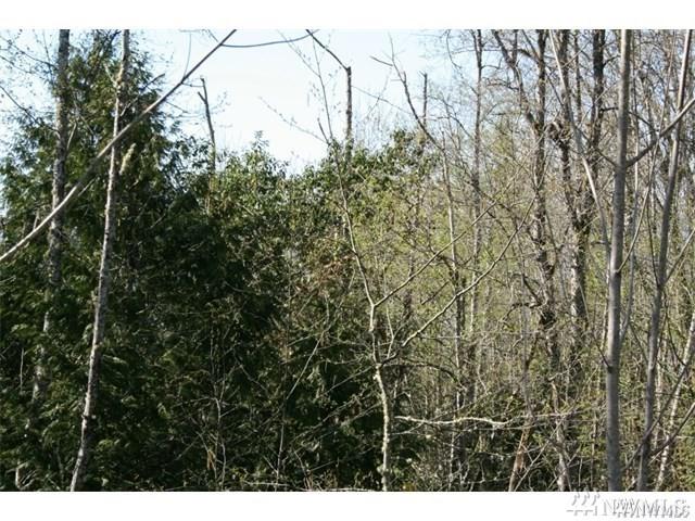 11109 Wade Rd - Photo 1