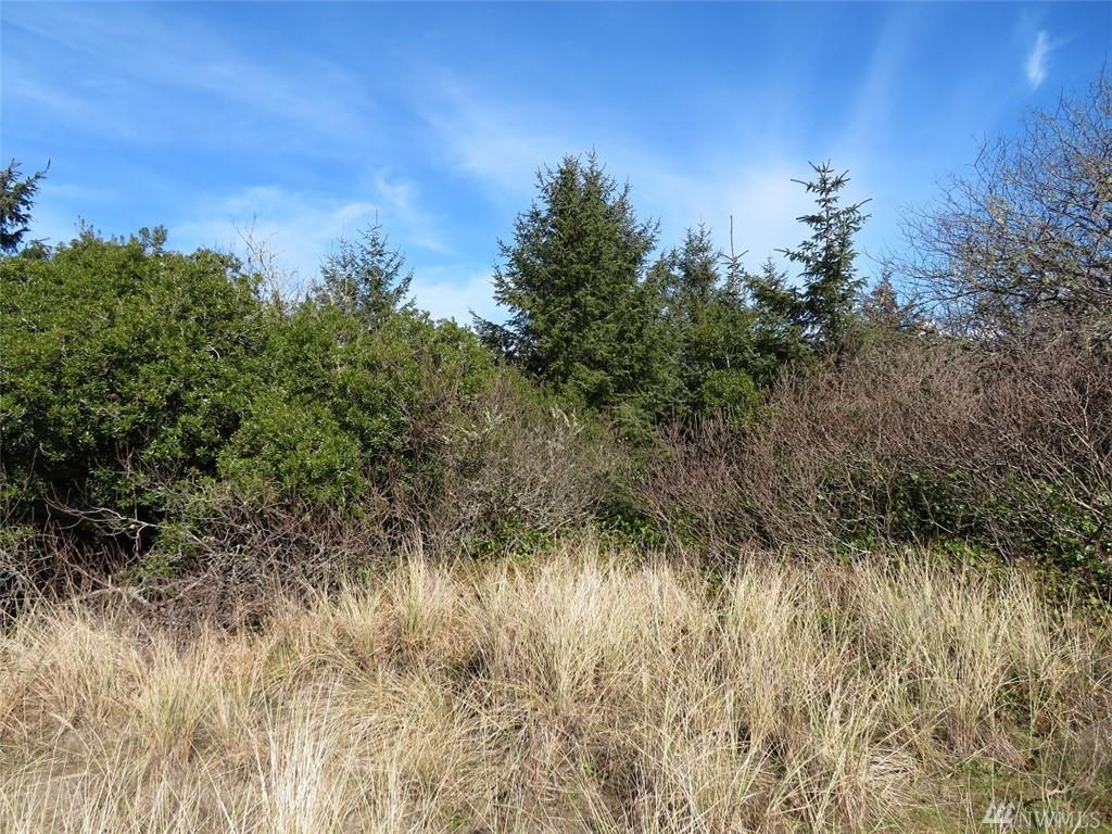 117 Wynoochee Dr - Photo 1