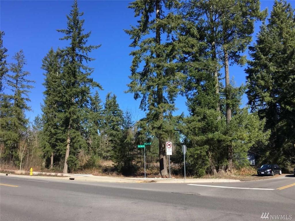 27458 216th Ave - Photo 1