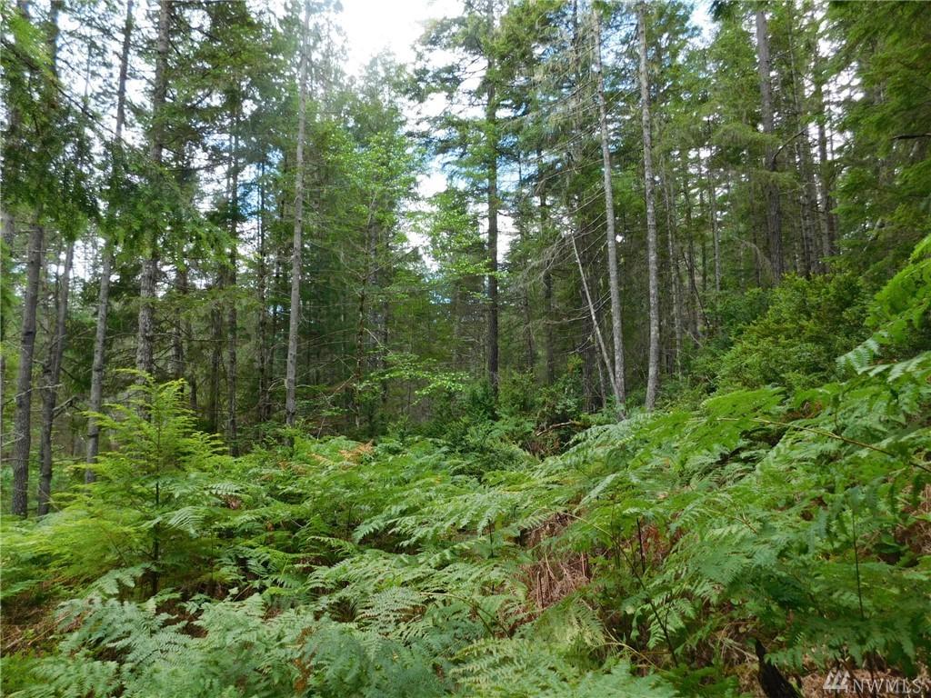 162 Dewatto Rd - Photo 1