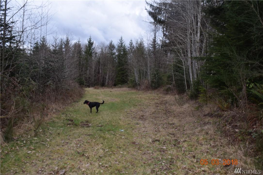 0 Old Raymond South Bend Rd - Photo 1
