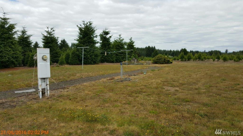 103 Dusty Lane - Photo 1