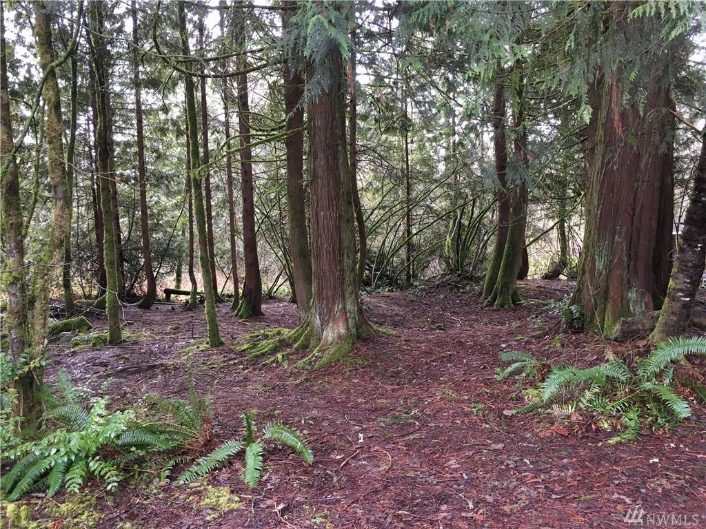 257 Alpha Wy - Photo 1