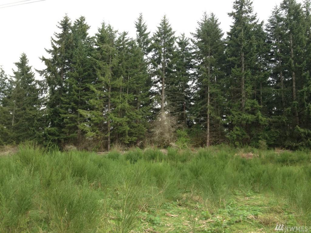 999 127th Lane - Photo 1