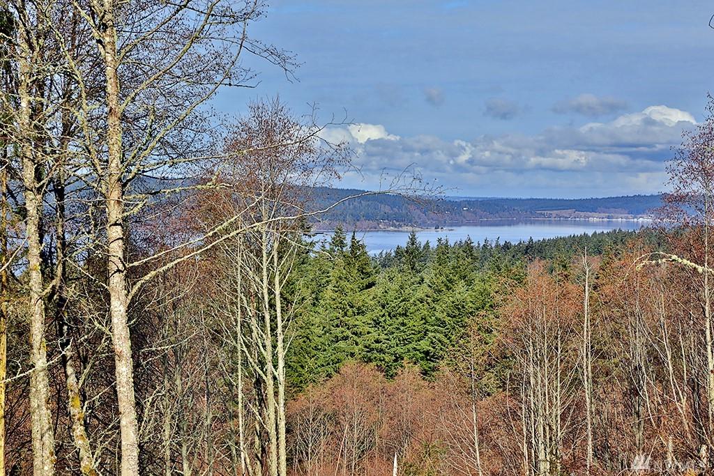 0-Tract 9 Goss Ridge Rd - Photo 1