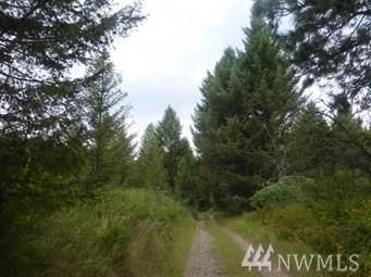 12345 Bear Cub Rd - Photo 1