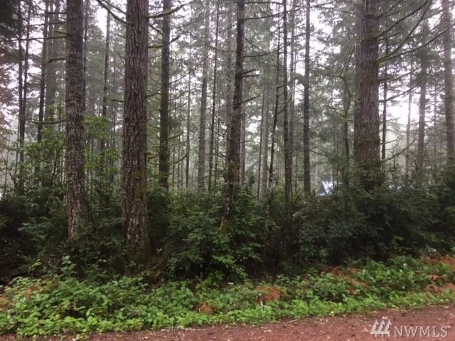 120 Cedar Lane - Photo 1