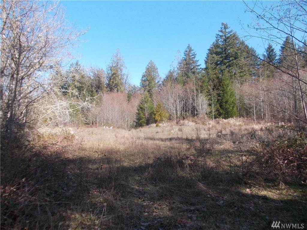 4300 Gravelly Beach Lp - Photo 1