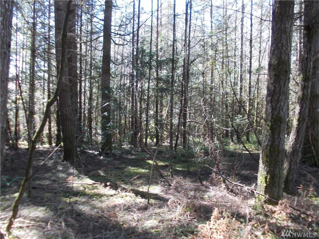6424 Steamboat Island Rd - Photo 1