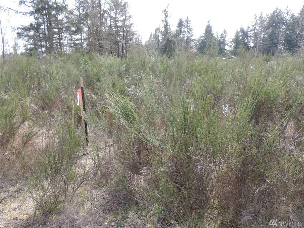 0-XXX Grand Mound Wy - Photo 1