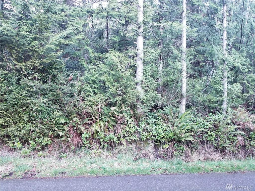 9999 Cressey Lane - Photo 1