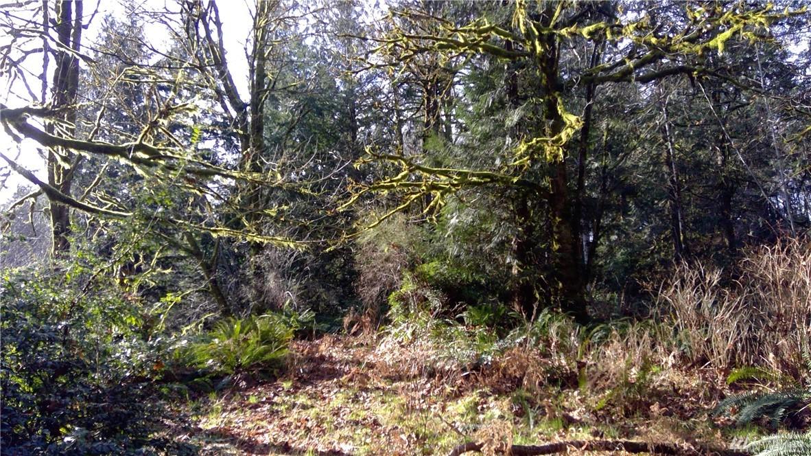 0 Lynch Rd - Photo 1