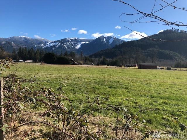 5473 Mt. Baker Hwy - Photo 1