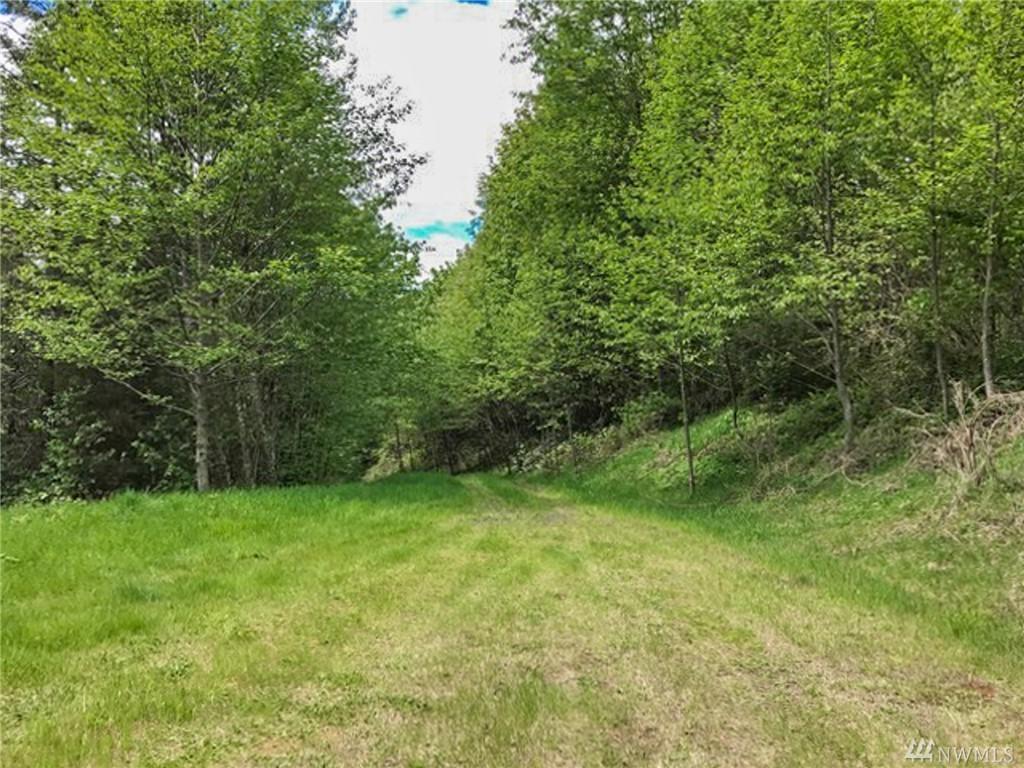 260 Bald Eagle Rd - Photo 1