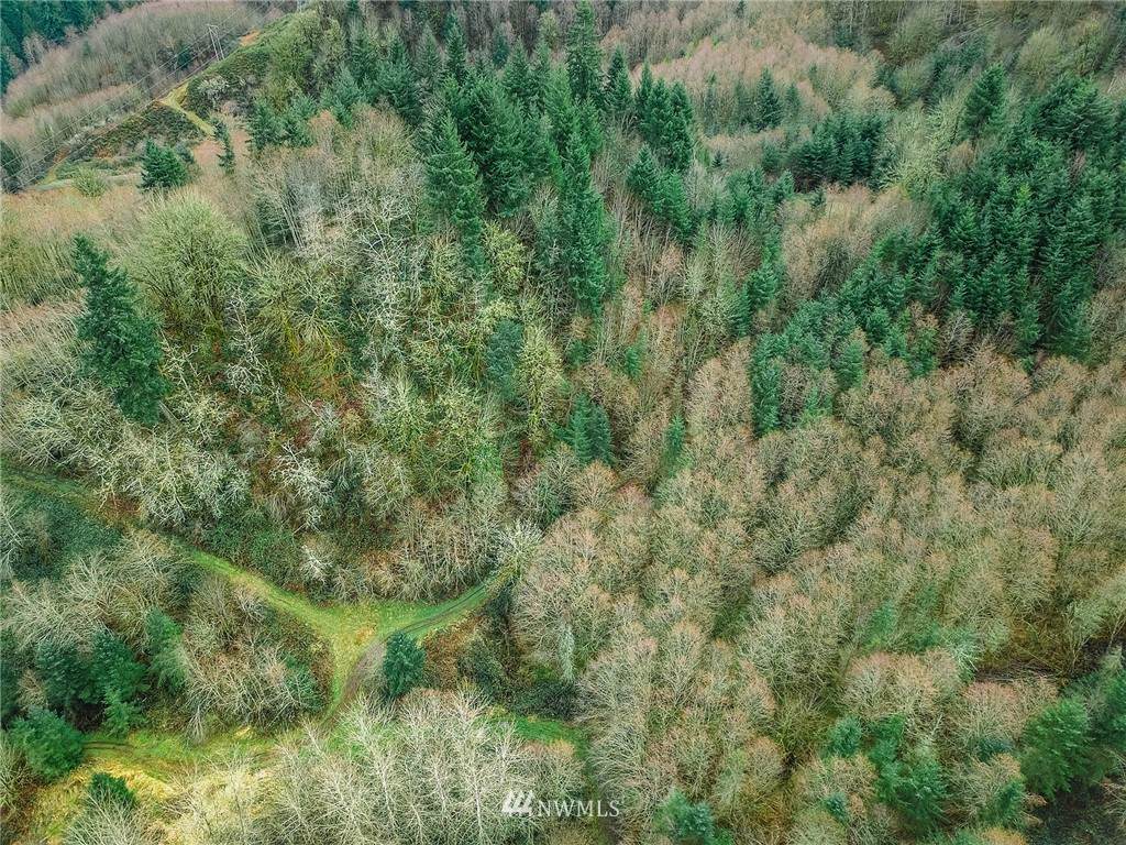 211 Trout Lakes Road - Photo 1