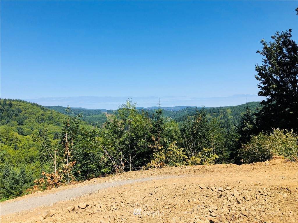 275 Trout Lakes Road - Photo 1