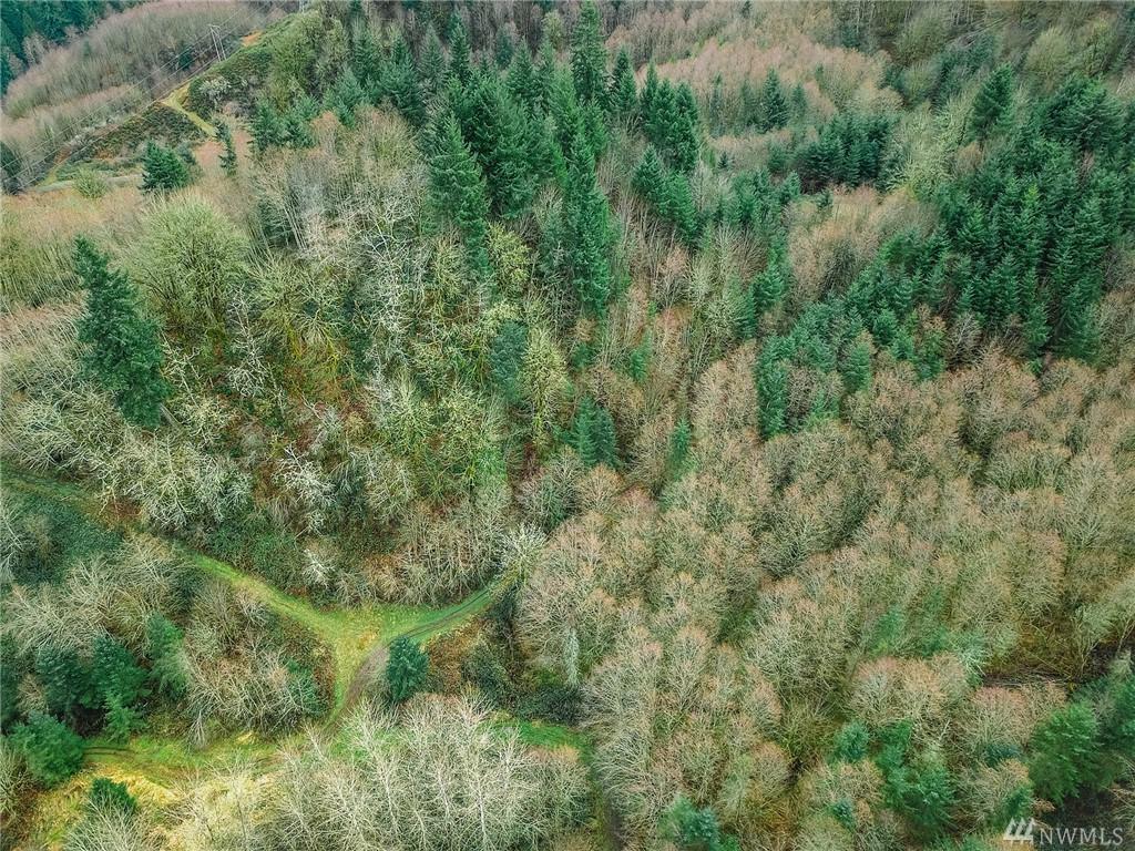 275 Trout Lakes Rd - Photo 1