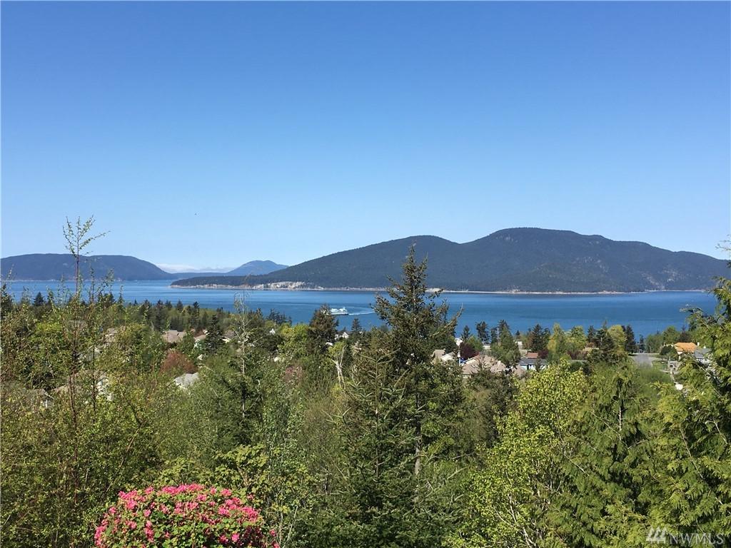 0 Heavens Gate/Chuckanut Ridge - Photo 1