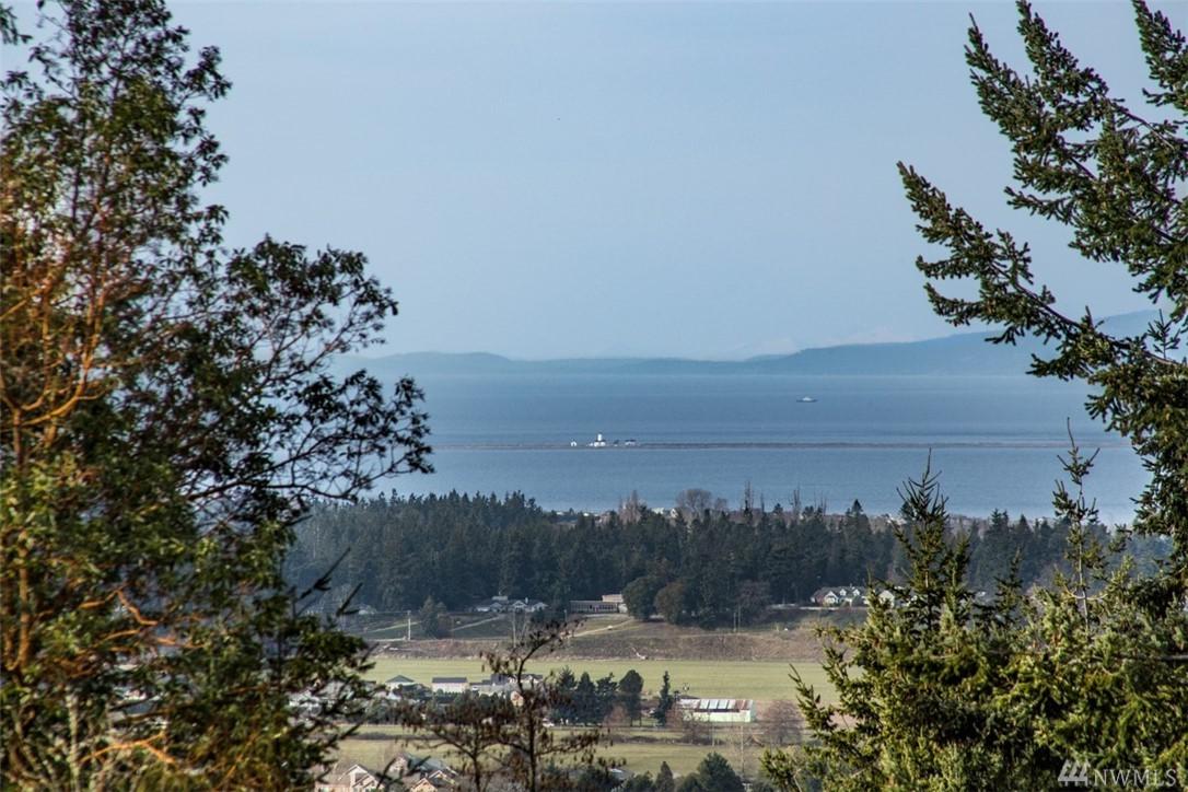 999-lot 1 Fox Hollow Rd - Photo 1