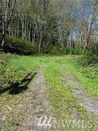 13545 Old Military Rd - Photo 1