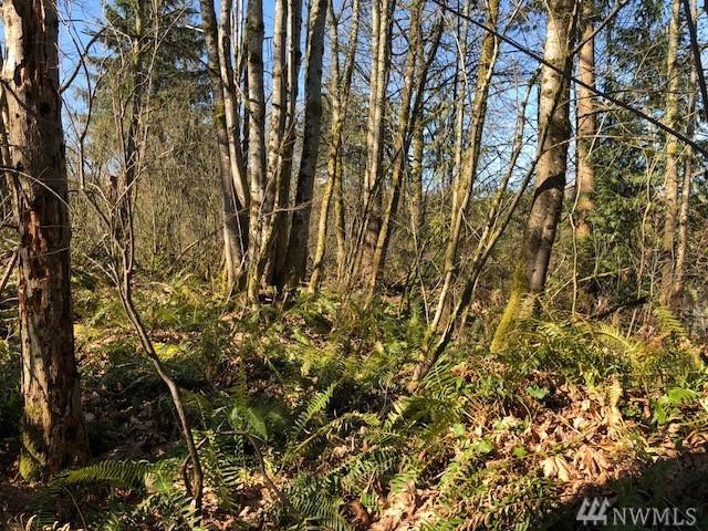 18-XXX 109th Ave - Photo 1