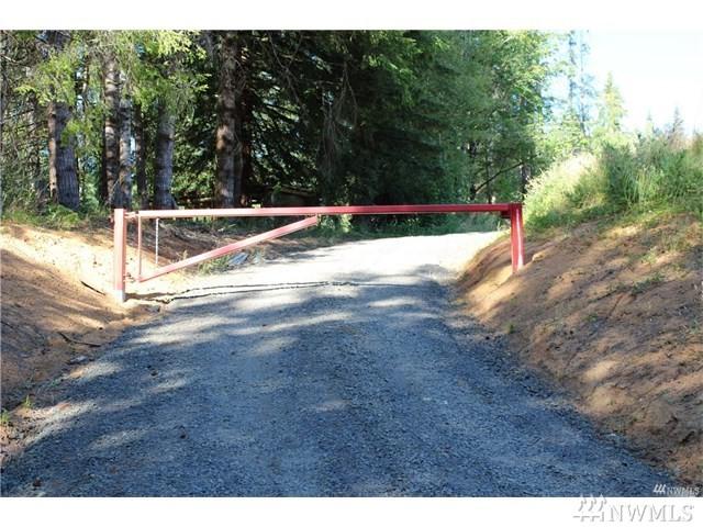 0 Germany Creek - Photo 1