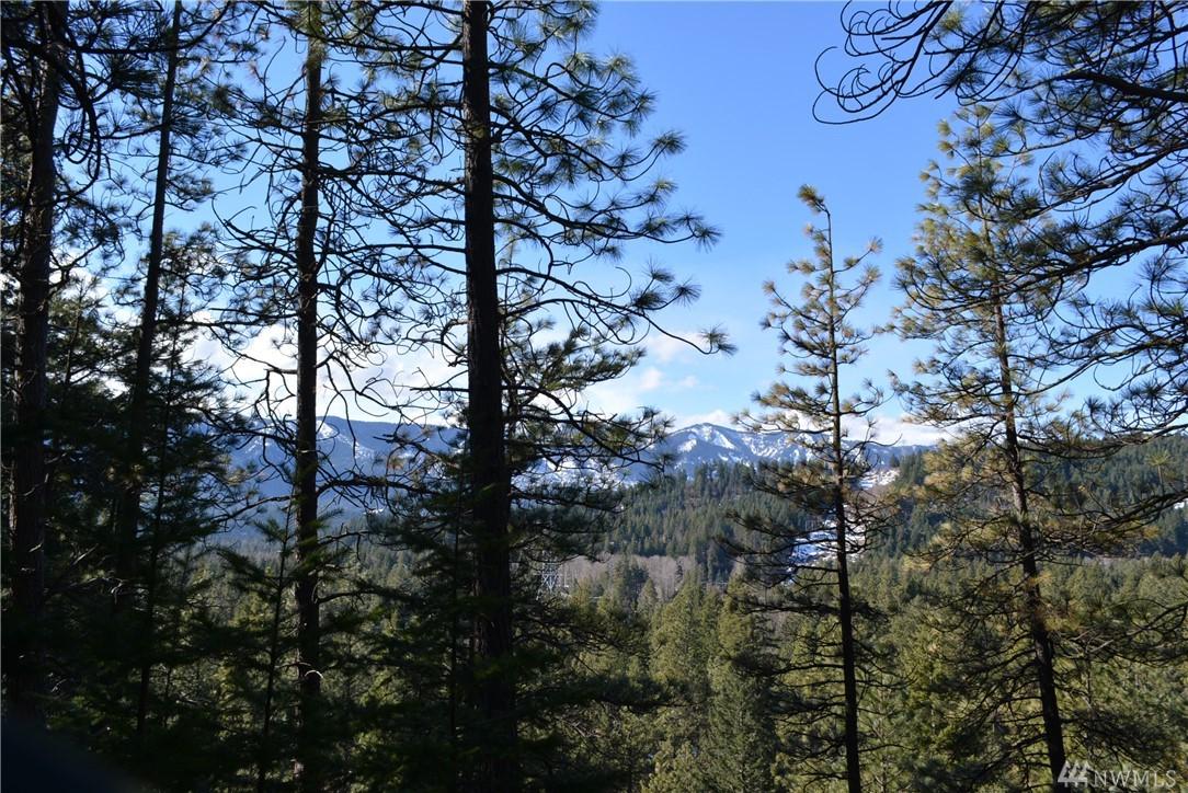 590 Snowberry Lp - Photo 1