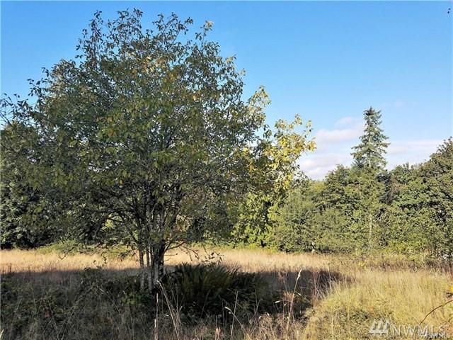 0 Bunker Hill Rd - Photo 1
