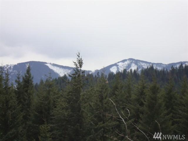 711 Ruby King Lp - Photo 1