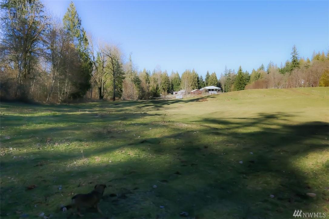 16803 Lake Moneysmith Rd - Photo 1