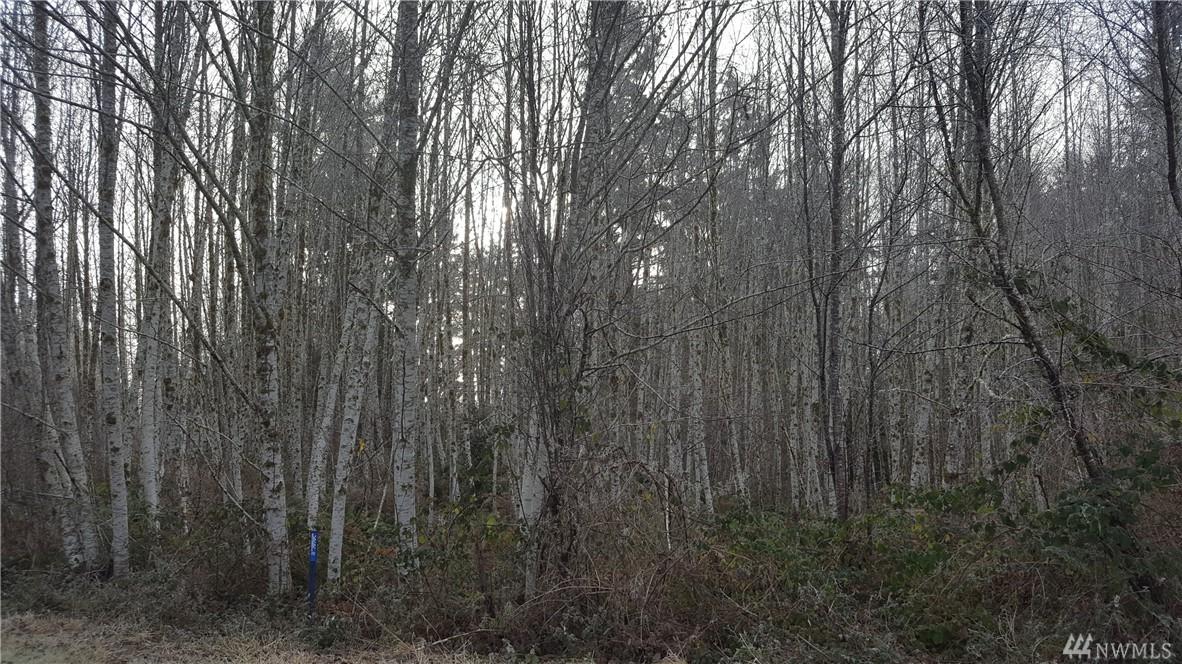 5-Lot Agate Beach Rd - Photo 1