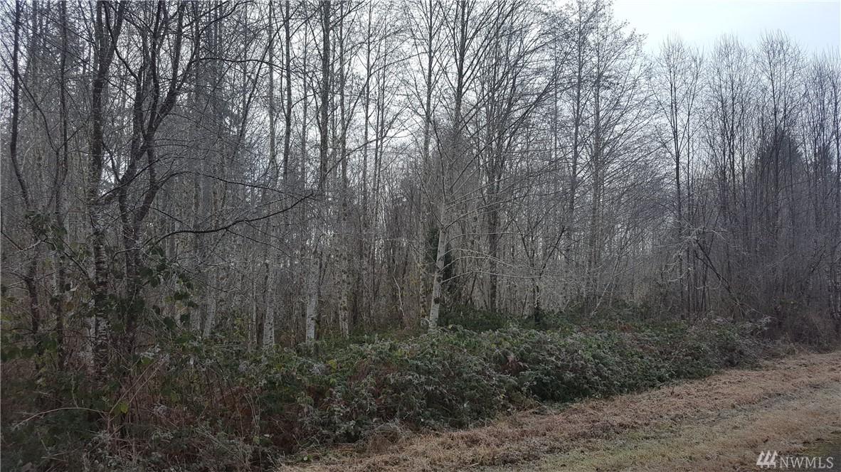 6-Lot Agate Beach Dr - Photo 1