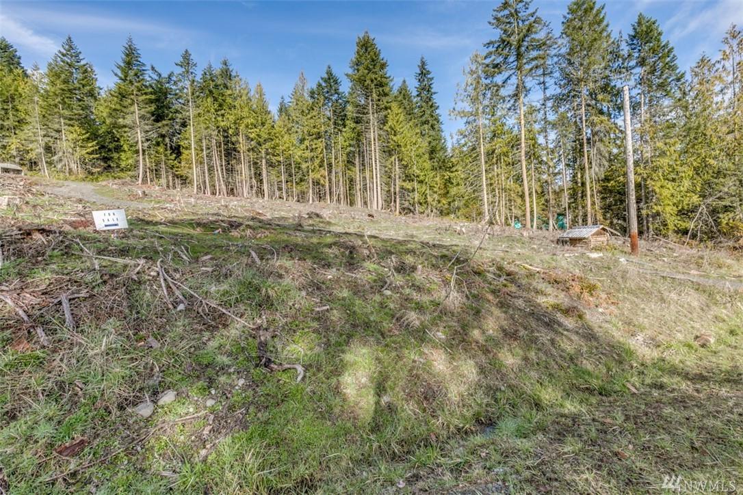 999-Lot B Lochow Rd - Photo 1