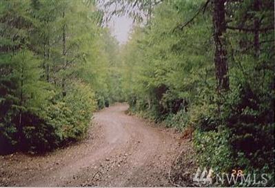 0-xxx Mason Lake Rd - Photo 1
