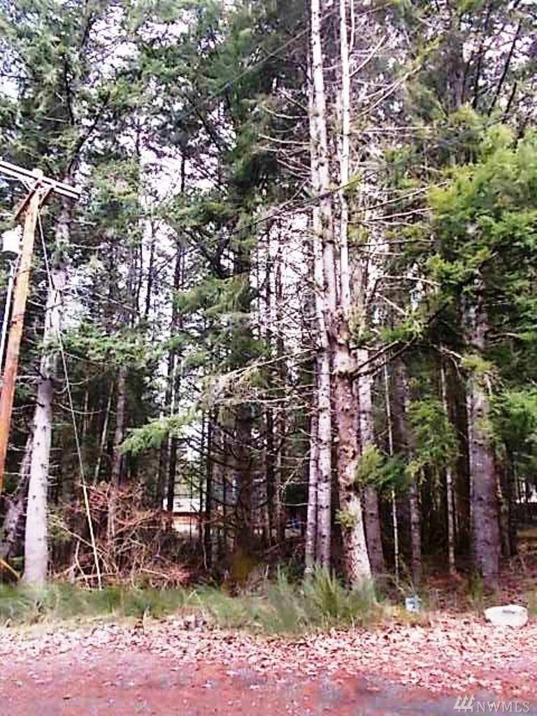 0 Cascade Dr - Photo 1