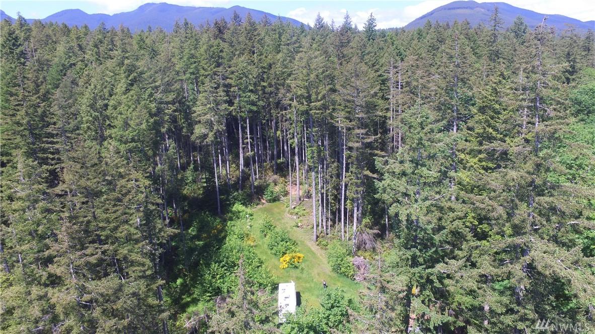 58 Old Point Whitney Rd - Photo 1