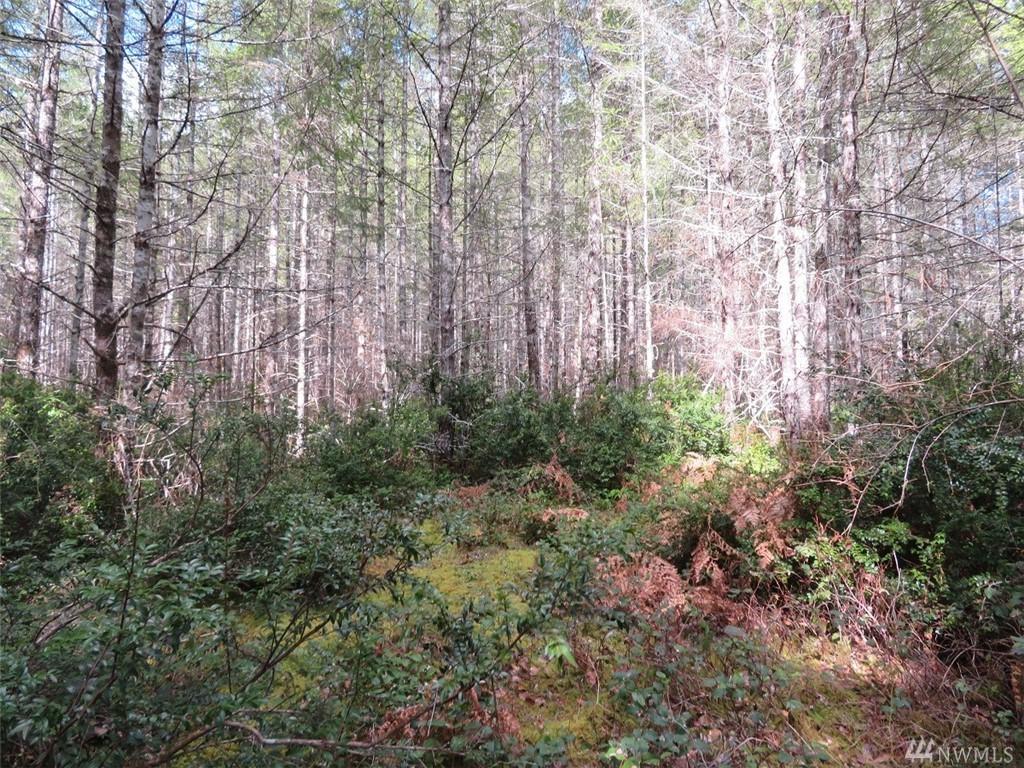 0 Sanctuary Lane - Photo 1