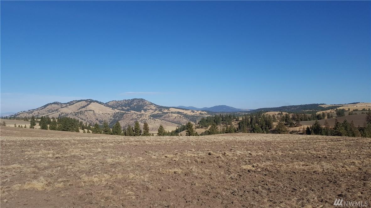 0 Reinbold Rd - Photo 1