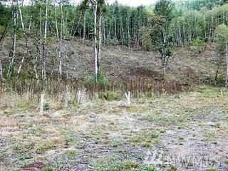 7030 Kalama River Rd - Photo 1