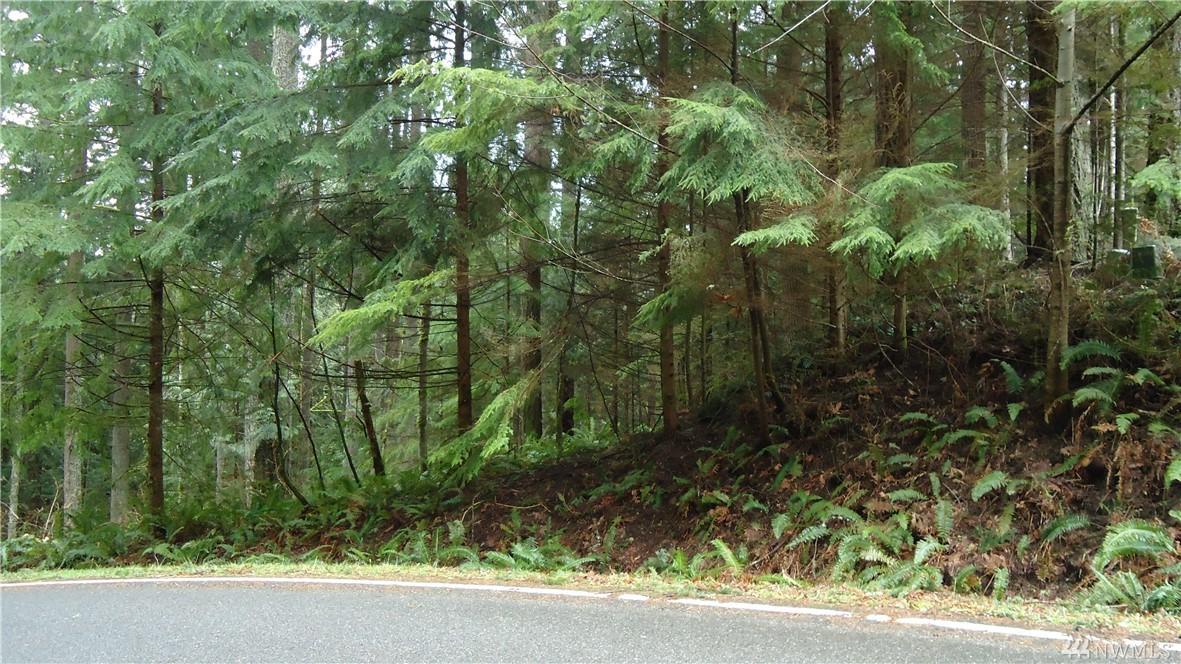 5 Pinto Creek Lane - Photo 1