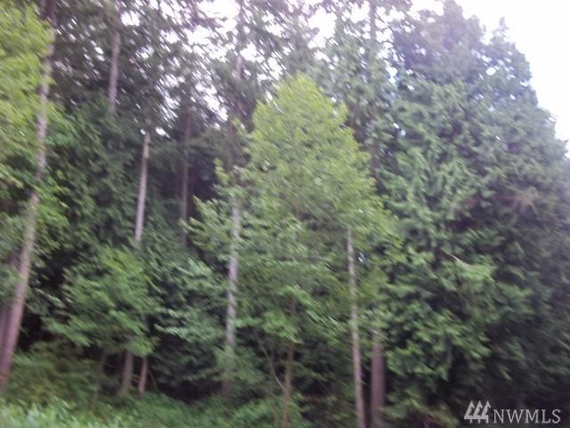 16000 Lake Goodwin Rd - Photo 1