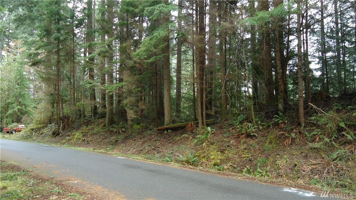 7 Little Palomino Ct - Photo 1