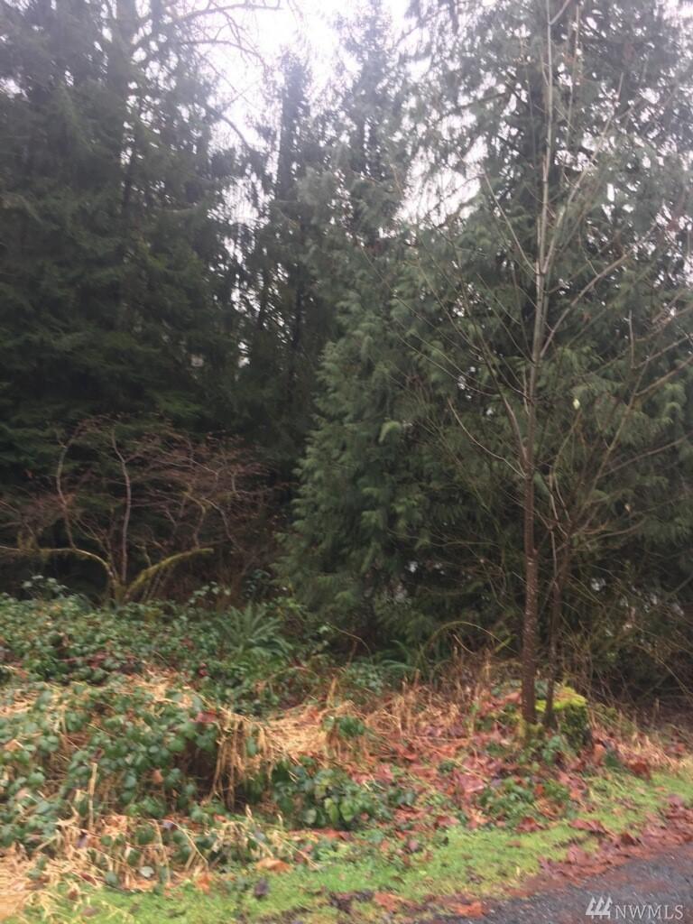 108 Rainbow Ct - Photo 1
