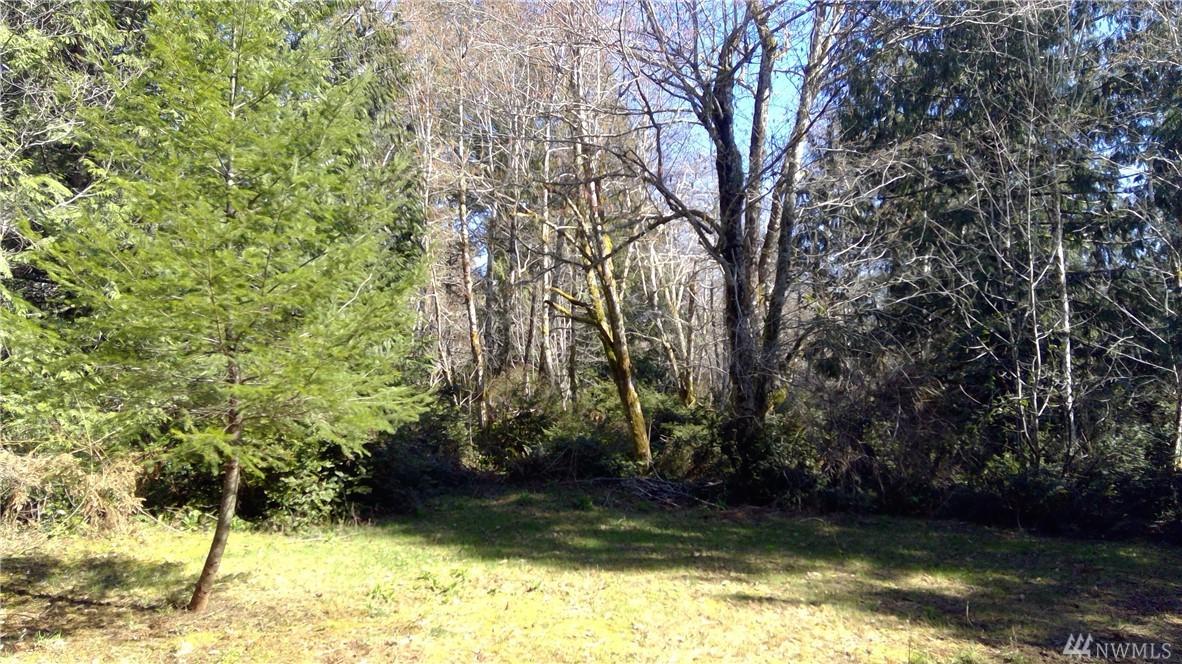 1111 Myers Ct - Photo 1